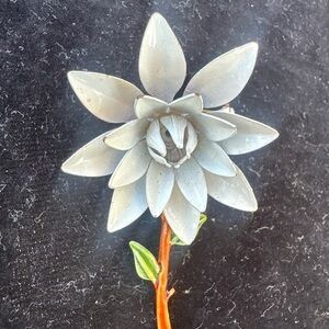 White Metal Flower Pin / Brooch